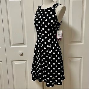 NWT Paperdoll Polka Dot Dress
